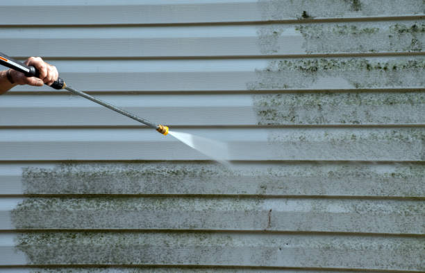 Best Mold Removal Specialists  in Diamond Ridge, AK