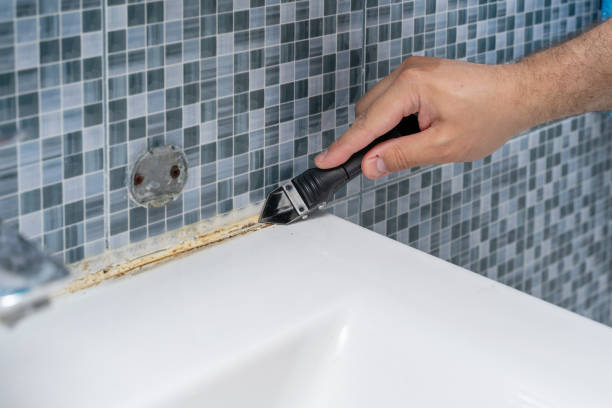 Best Residential Mold Removal  in Diamond Ridge, AK
