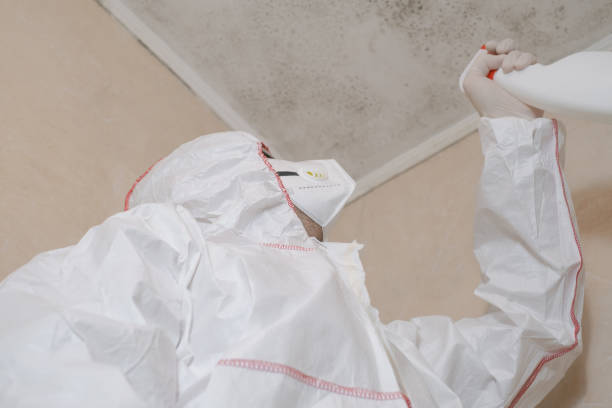 Best Office Mold Removal Services  in Diamond Ridge, AK